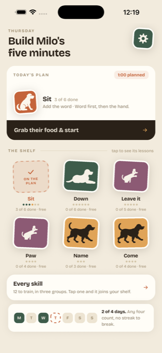 The home screen: today's plan and the skill shelf