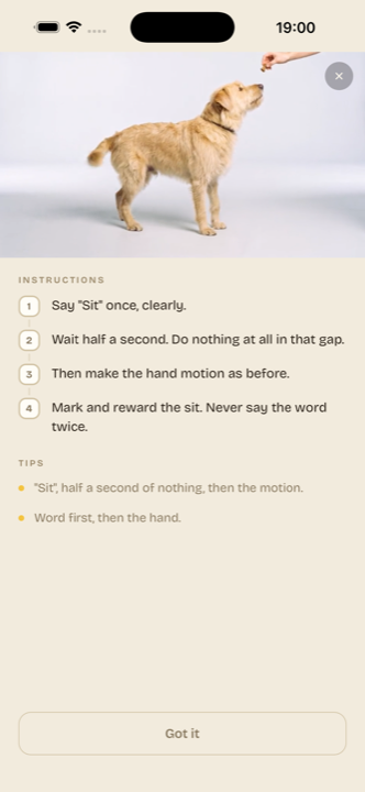 A lesson page: clip, instructions and tips