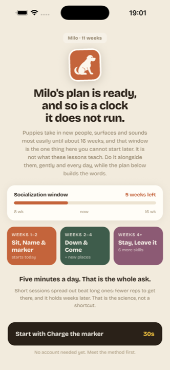 The plan built from the dog's age